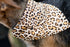 Cheetah Print Slip On Bandana